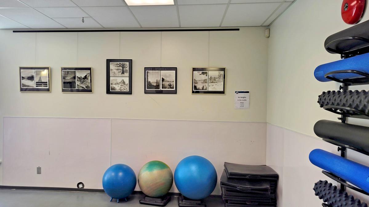 A fitness centre with rolled up mats along a wall on the right along with blue and tan fitness balls of various sizes on the back wall above which are hanging ink paintings in black frames against a white wall.