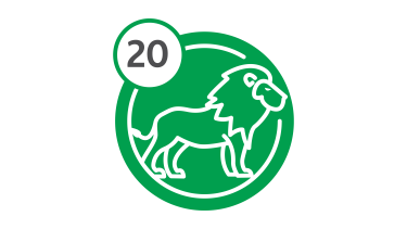 Bus Route 20 - Lion Bus Route 20 - Lion