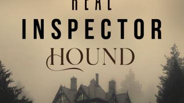 A picture of a haunted house