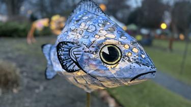 A picture of a fish paper lantern