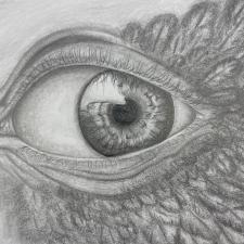 Graphite drawing on paper depicting a close-up of an eyeball 